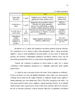 Diplomdarbs 'Pārdošanas veicināšana pakalpojuma uzņēmumā', 41.