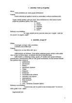 Referāts 'Rehabilitācijas plāns grupā cilvēkiem ar kustību traucējumiem', 2.