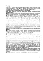 Diplomdarbs 'Sildošo un atvēsinošo pretsāpju līdzekļu pielietošanas iespējas farmaceitiskajā ', 2.