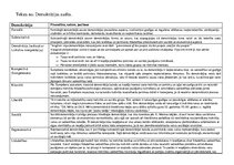 Konspekts 'Demokrātijas veidi', 1.