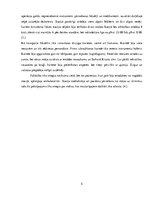 Referāts 'Latvijas Neatliekamās medicīniskās palīdzības dienesta vēsture', 5.