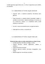 Referāts 'Valsts sociālās apdrošināšanas aģentūra', 9.