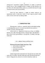 Referāts 'Valsts sociālās apdrošināšanas aģentūra', 21.