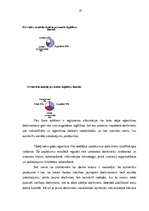 Referāts 'Valsts sociālās apdrošināšanas aģentūra', 35.