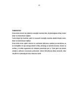 Referāts 'Azartspēļu atkarības psiholoģiskie cēloņi, norise, sekas un rehabilitācijas iesp', 28.