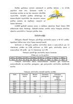 Referāts 'Ventspils pilsētas ekonomiskais pētījums', 9.