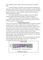 Referāts 'Ventspils pilsētas ekonomiskais pētījums', 18.
