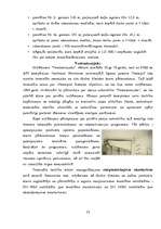 Referāts 'Ventspils pilsētas ekonomiskais pētījums', 23.