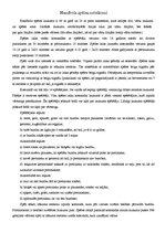 Konspekts 'Handbola spēles noteikumi', 1.