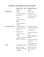 Konspekts 'Pirmsskolas vecuma bērnu kognitīvā attīstība', 1.