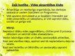 Referāts 'Ar vidi saistītā likumdošana, to realizējošais mehānisms Latvijā', 10.