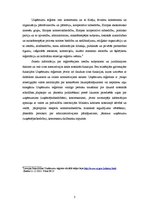 Eseja 'Uzņēmumu reģistrs, tā funkcijas', 3.