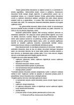 Referāts 'Grāmatvedības uzskaites elementi', 5.