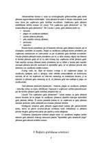 Referāts 'Grāmatvedības uzskaites elementi', 8.