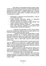 Referāts 'Grāmatvedības uzskaites elementi', 9.