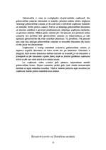 Referāts 'Grāmatvedības uzskaites elementi', 10.