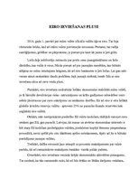 Eseja 'Eiro ieviešanas plusi', 1.