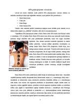 Referāts 'SPA pakalpojumi viesnīcās', 3.