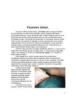 Referāts 'Pazemes ūdeņi', 2.