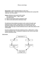 Konspekts 'Sabiedriskuma līmeņa ietekme uz mācību rezultātiem', 5.