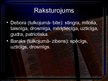 Prezentācija 'Debora', 20.