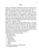 Referāts 'Mūsdienu tirgus modeļi', 2.