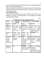 Referāts 'Mūsdienu tirgus modeļi', 22.