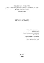 Prakses atskaite 'Prakses atskaite (SIA Hieroglifs)', 1.