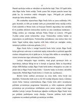 Diplomdarbs 'Mazākumakcionāru stāvoklis Latvijā un to nākotnes perspektīvas', 11.