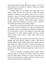 Diplomdarbs 'Mazākumakcionāru stāvoklis Latvijā un to nākotnes perspektīvas', 43.