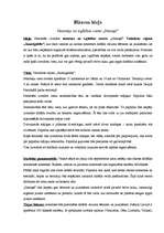 Biznesa plāns 'Biznesa ideja - nometņu un izglītības centrs', 1.