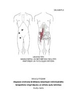 Prakses atskaite 'Iliopsoas sindroma ārstēšana, izmantojot individualizēto terapeitisko vingrināju', 1.