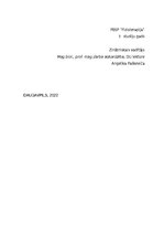 Prakses atskaite 'Iliopsoas sindroma ārstēšana, izmantojot individualizēto terapeitisko vingrināju', 2.