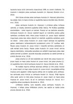 Prakses atskaite 'Iliopsoas sindroma ārstēšana, izmantojot individualizēto terapeitisko vingrināju', 11.