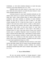 Prakses atskaite 'Iliopsoas sindroma ārstēšana, izmantojot individualizēto terapeitisko vingrināju', 14.