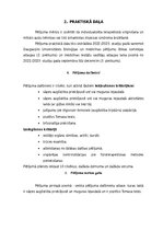 Prakses atskaite 'Iliopsoas sindroma ārstēšana, izmantojot individualizēto terapeitisko vingrināju', 19.