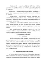 Prakses atskaite 'Iliopsoas sindroma ārstēšana, izmantojot individualizēto terapeitisko vingrināju', 20.