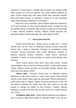 Prakses atskaite 'Iliopsoas sindroma ārstēšana, izmantojot individualizēto terapeitisko vingrināju', 21.