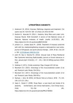 Prakses atskaite 'Iliopsoas sindroma ārstēšana, izmantojot individualizēto terapeitisko vingrināju', 26.