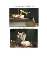 Prakses atskaite 'Iliopsoas sindroma ārstēšana, izmantojot individualizēto terapeitisko vingrināju', 33.