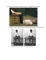 Prakses atskaite 'Iliopsoas sindroma ārstēšana, izmantojot individualizēto terapeitisko vingrināju', 34.