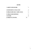 Konspekts 'Ikšķiles komplekss - senā baznīca un pils', 1.