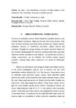 Konspekts 'Ikšķiles komplekss - senā baznīca un pils', 4.