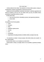 Referāts 'Brīvības robežu izpratne politikas teorijā', 15.