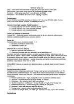 Konspekts 'Dzejas analīzes teorija', 1.