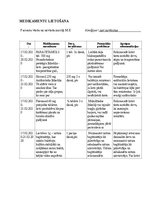 Prakses atskaite 'Pacienta aprūpes plāns - akūts bronhīts', 13.