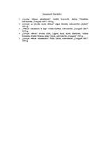 Referāts 'Rīgas attīstība Livonijas laikā līdz 16.gadsimtam', 6.