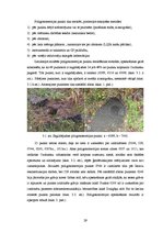 Diplomdarbs 'Ozolnieku pagasta poligonometrijas tīkla rekonstrukcija', 29.