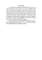 Referāts 'Raid masīvi', 1.