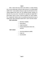 Referāts 'Raid masīvi', 4.